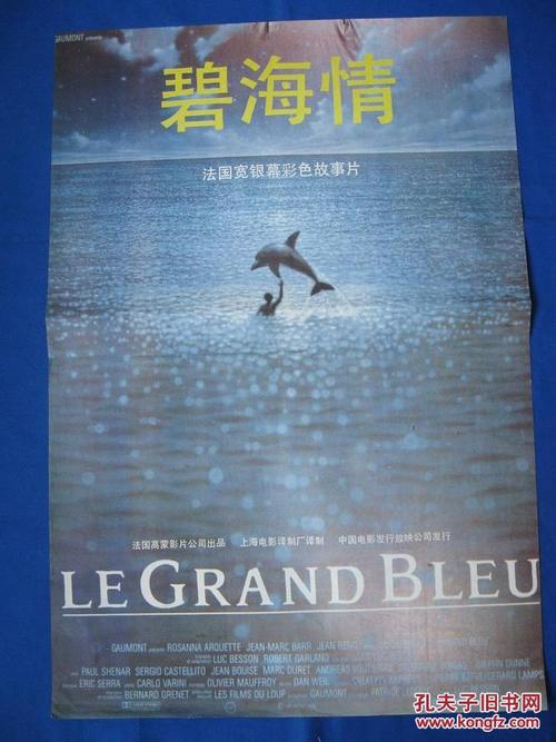 学历证书查询结果是什么意思